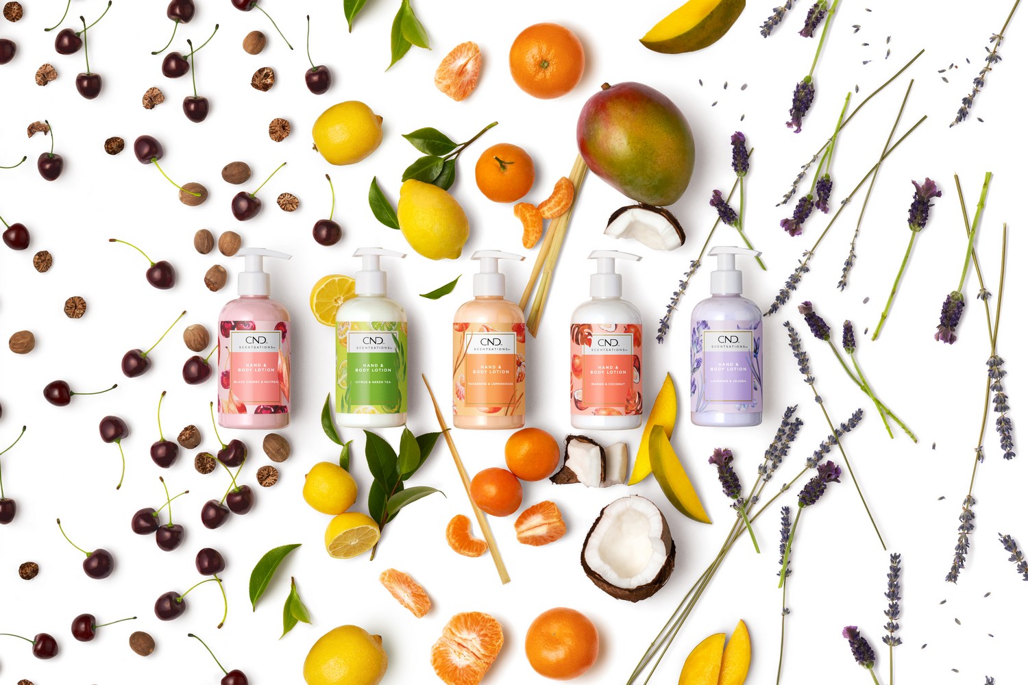 scentsations-hand-body-lotions scentsations-hand-body-lotions